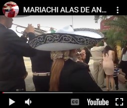 Mariachi Alas De Angel playing "EL SON DE LA NEGRA" at Mariachi Plaza