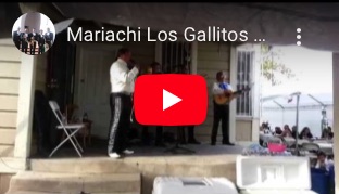 image of Mariachi Los Gallitos De Francisco "El Gallito" Margarita, Margarita