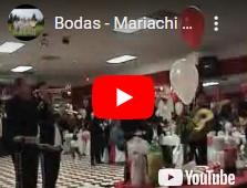Mariachi Nuevo Guadalajara- wedding event