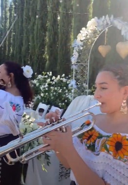 Mariachi Oro y Plata - Backyard Wedding Party 