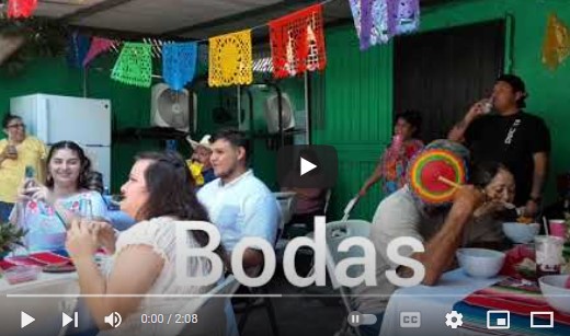 image of Mariachi Oro y Plata - Backyard Wedding Party 