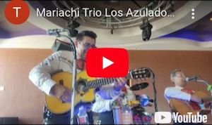 Mariachi Trio Los Azulado--"EL ANDARIEGO" - Anniversary event