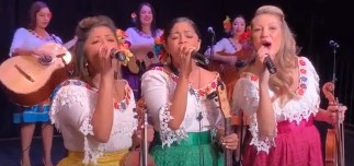 image of Mariachi Las Colibrí at Mariachi Fest: Popurri "Lucha Villa"