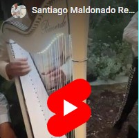 Solo Harpist Santiago performing at big event. Solo Harpist Santiago M. Reyna de Rio Verde performing at big event.
