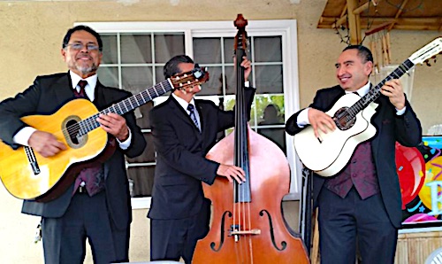 Trio America playing 2 guitars & 1 base at backyard patio party for family birthday event.